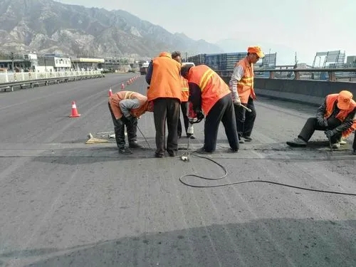 陆良道路桥梁病害治理